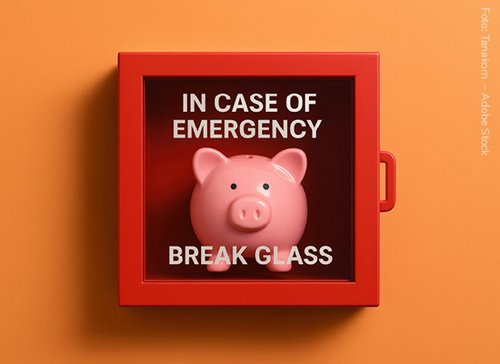 sparschwein im glaskasten - zum Blogbeitrag: Unternehmensfinanzierung in der Krise: Hedgefonds als Option