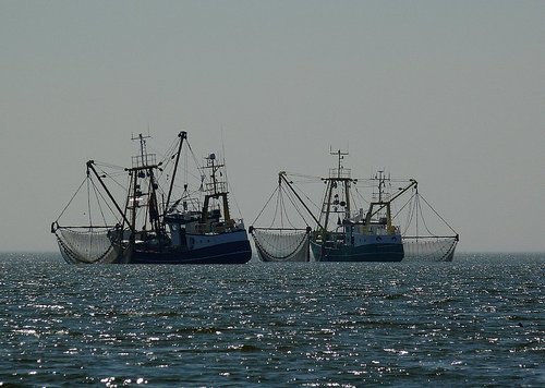 Ins Netz gegangen - zum Blogbeitrag: Ins Netz gegangen