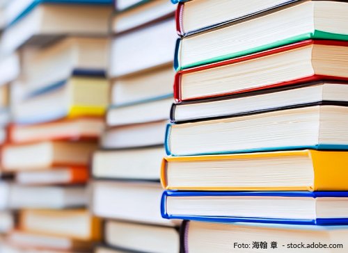 Buecherstapel - zum Blogbeitrag: Militzke Verlag GmbH: Sanierungsoptionen für Magdeburger Schulbuchverlag werden geprüft