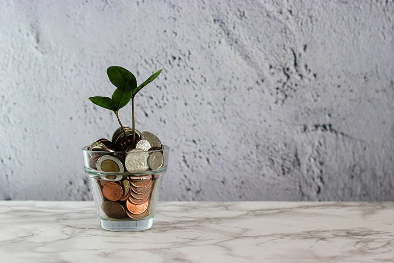 Glas gefüllt mit Geldmünzen und Pflanze oben auf 