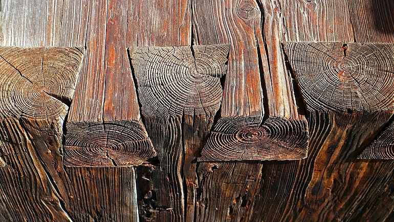 Holz